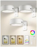 EZVALO Picture Lights for Wall, 2000mAh Rechargeable Battery Magnetic Poster Lights with 3 Color Temps & 12 RGB, Remote Dimmable Timer Painting Light, Wall Decor Light for Art Display, Frame (3 Pack) by EZVALO