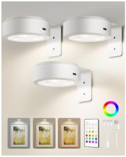 EZVALO Picture Lights for Wall, 2000mAh Rechargeable Battery Magnetic Poster Lights with 3 Color Temps & 12 RGB, Remote Dimmable Timer Painting Light, Wall Decor Light for Art Display, Frame (3 Pack) by EZVALO