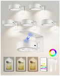 EZVALO Picture Lights for Wall, 2000mAh Rechargeable Battery Magnetic Poster Lights with 3 Color Temps & 12 RGB, Remote Dimmable Timer Painting Light, Wall Decor Light for Art Display, Frame (6 Pack) by EZVALO
