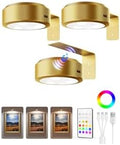 EZVALO Picture Lights for Wall, 2000mAh Rechargeable Battery Magnetic Poster Lights with 3 Color Temps & 12 RGB, Remote Dimmable Timer Painting Light, Wall Decor Light for Art Display, Frame (3 Pack) by EZVALO