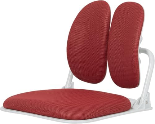 Ergonomic Dual-Backrests Floor Chair with Back Support (Red) | Reduce pressure on your back by up to 50% by Shopnow