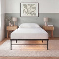 Zinus Rumi Heavy Duty Metal Platform Bed Frame, RGB LED Lights, Twin by Unknown