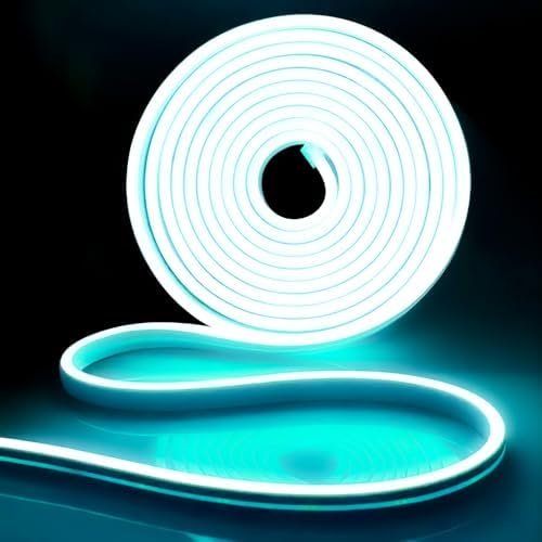 iNextStation 16.4FT 12V LED Strip Lights Ice Blue Neon Rope Light (No Plug) by inextstation
