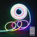 ALITOVE Addressable Neon LED Strip Light WS2811 16.4ft Room Decor Flexible by ALITOVE
