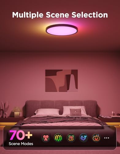 Govee Smart Ceiling Light, RGBIC 2400LM 2700K-6500K 12 Inch 1 Pack Black - Image 3