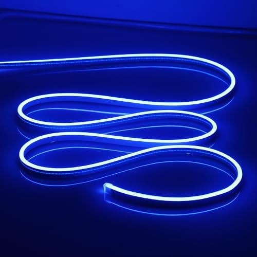 LED Neon Strip Lights Blue 16.4FT, 12V Waterproof Flexible Neon Rope Lights by OWOFYDRForprofessional