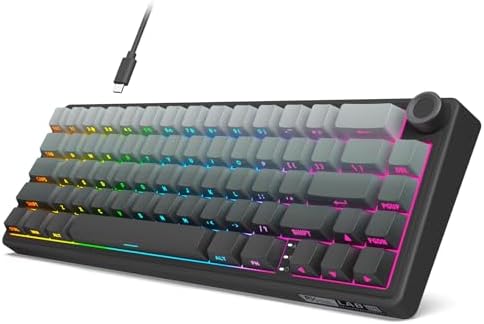 RK ROYAL KLUDGE R65 Wired Gaming Keyboard with Volume Knob, 60% Percent RGB Backlit Mechanical Keyboard, Side Printed PBT Keycaps, QMK/VIA, 66 Keys Hot Swappable Beige Switch, Gradient Black by RKROYALKLUDGE