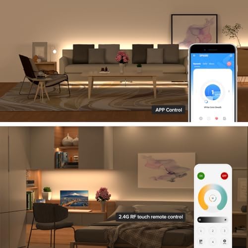 BTF-LIGHTING SP630E Bluetooth Controllers 4 Zones 2.4GHz RF RB2 Remote Kit - Image 3
