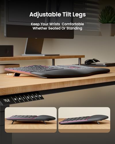 ProtoArc EKM01 Plus Wireless Ergonomic Keyboard Mouse Combo - Wine Red - Image 4