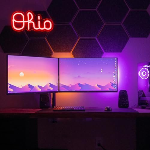 Mutank Ohio Neon Signs for Wall Decor, USB Powered Dimmable Ohio State LED Neon Light, for Home Room Decor Sports Fans Team Wall Decor Club Store Party Man Cave Gifts(12.5 * 6.2 In) - Image 3