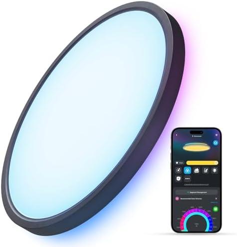 Govee Smart Ceiling Light, RGBIC 2400LM 2700K-6500K 12 Inch 1 Pack Black by Unknown
