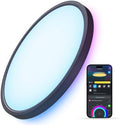 Govee Smart Ceiling Light, RGBIC 2400LM 2700K-6500K 12 Inch 1 Pack Black by Unknown