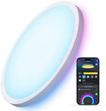 Govee Smart Ceiling Light, RGBIC 2400LM 2700K-6500K 12 Inch 1 Pack White by Govee
