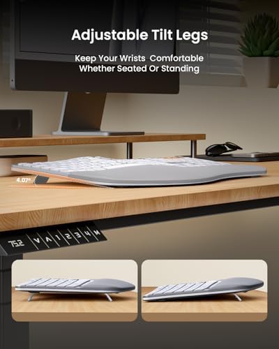 ProtoArc EKM01 Plus Wireless Ergonomic Keyboard Mouse Combo - White Silver - Image 4