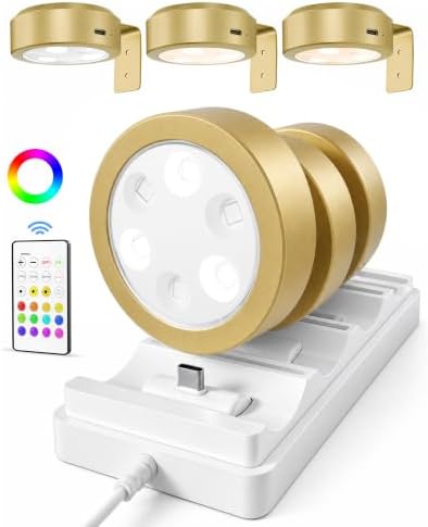 EZVALO Picture Lights for Wall, Rechargeable Battery Magnetic Poster Lights with 3 Color Temps & 12 RGB, Remote Dimmable Timer Light, Wall Decor Light for Art Display (6 Pack with Charging Station) by EZVALO