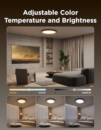 Govee Smart Ceiling Light, RGBIC 2400LM 2700K-6500K 12 Inch 1 Pack Black - Image 4
