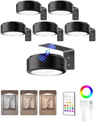 EZVALO Picture Lights for Wall, 2000mAh Rechargeable Battery Magnetic Poster Lights with 3 Color Temps & 12 RGB, Remote Dimmable Timer Painting Light, Wall Decor Light for Art Display, Frame (6 Pack) by EZVALO