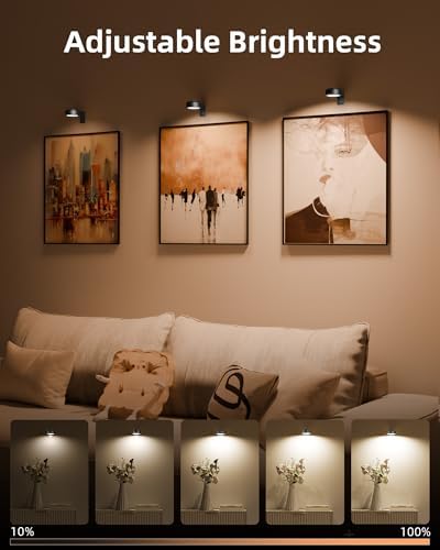 EZVALO Picture Lights for Wall, Rechargeable Battery Magnetic Poster Lights with 3 Color Temps & 12 RGB, Remote Dimmable Timer Light, Wall Decor Light for Art Display (6 Pack with Charging Station) - Image 4