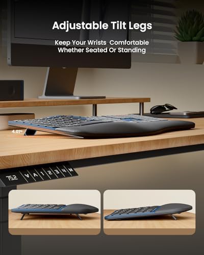 ProtoArc EKM01 Plus Wireless Ergonomic Keyboard Mouse Combo - Blue - Image 4