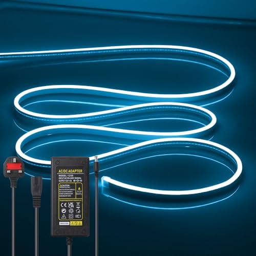 LED Neon Lights Flexible Ice Blue 16.4FT/5M 12V DC Waterproof Flexible LED NEON Light for Indoors Outdoors Decorm [Power Adapter Included] by OWOFYDRForprofessional
