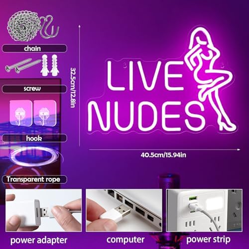 Lady Neon Sign Dimmable Pink LED Lights Bar Club Lounge Man Cave Wall Art - Image 2