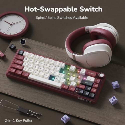 RK ROYAL KLUDGE R65 Wired Mechanical Keyboard with Volume Knob, 60% Percent RGB Backlit Gaming Keyboard Gasket Mount with PBT Keycaps, MDA Profile, QMK/VIA, 66 Keys Hot Swappable Light Switch, Red - Image 5
