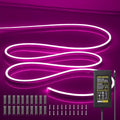 LED Neon Lights Flexible Purple 16.4FT/5M 12V DC Waterproof Flexible LED NEON Light for Indoors Outdoors Decorm [Power Adapter Included] by OWOFYDRForprofessional