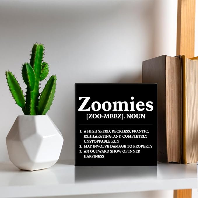 Dog Lover Gift Zoomies Definition Wooden Box Sign Dog Theme Desk Decor - Image 6