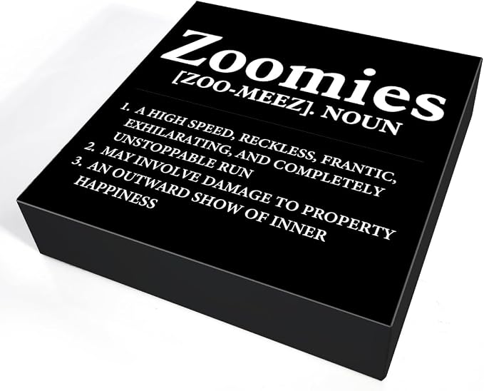 Dog Lover Gift Zoomies Definition Wooden Box Sign Dog Theme Desk Decor - Image 3