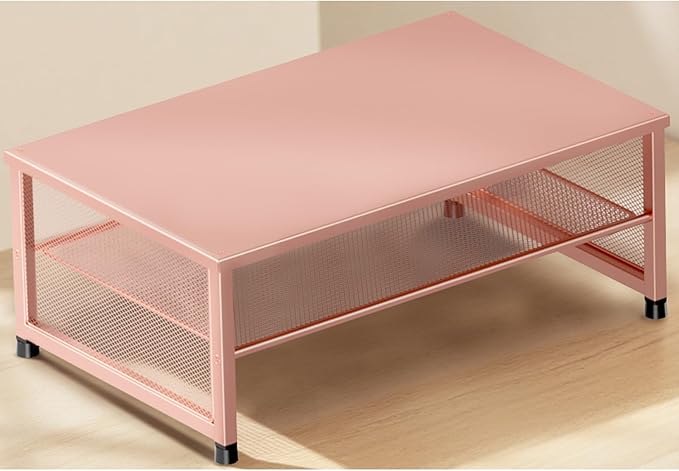 ECOLOVI 2-Tier Computer Monitor Stand Riser, Printer & Laptop Stand, Office Desk Accessories, Workspace Desk Organizer for Home Office Supplies, Rose by ECOLOVI
