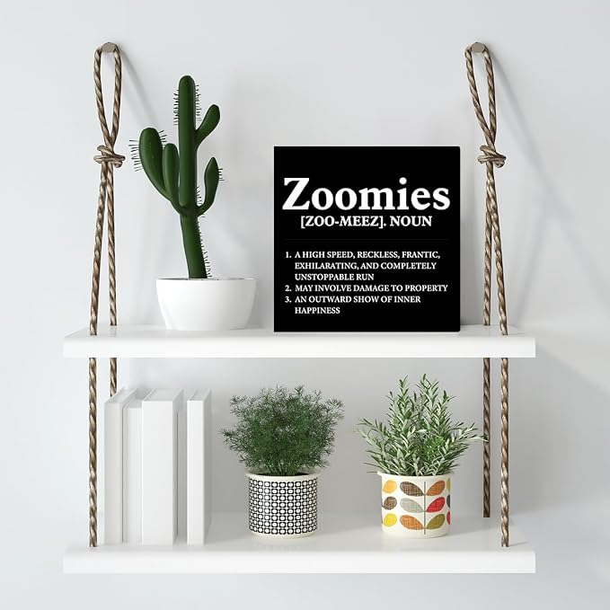 Dog Lover Gift Zoomies Definition Wooden Box Sign Dog Theme Desk Decor - Image 5