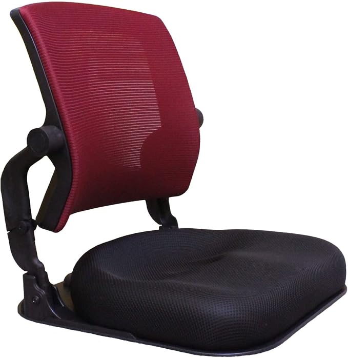 Patented Floor Chair with Back Support - Foldable Orthopedic Floor Chair for Adults/Children - Japanese Legless Seat for Meditation, TV, Pelvic Adjustment - Recliner with Back Support (Wine) by Hihip