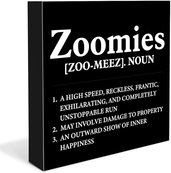 Dog Lover Gift Zoomies Definition Wooden Box Sign Dog Theme Desk Decor by Dumyum