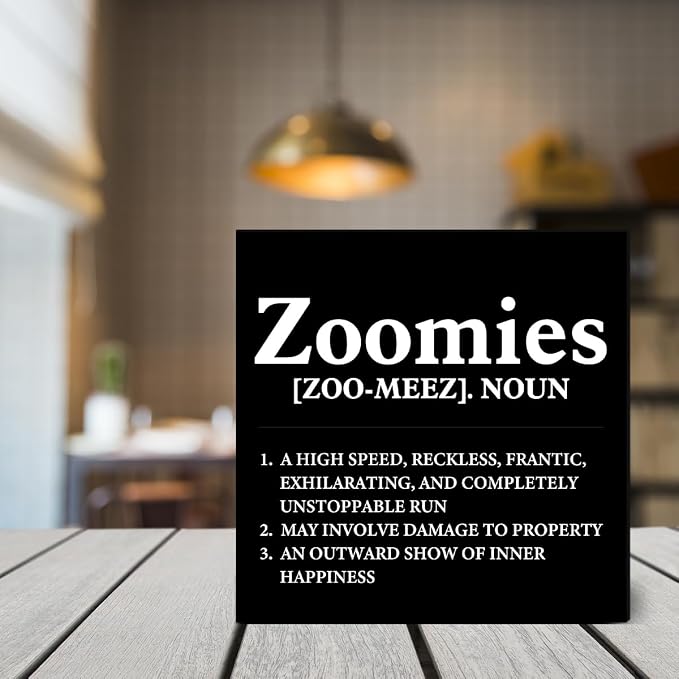 Dog Lover Gift Zoomies Definition Wooden Box Sign Dog Theme Desk Decor - Image 4