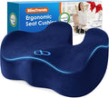 BlissTrends Extra Thick Seat Cushion for Office Chair & Car Seat, Blue | XX-Large Tailbone & Sciatica Relief, Ergonomic Support, High-Density Memory Foam, Comfort for Extended Sitting by BlissTrends