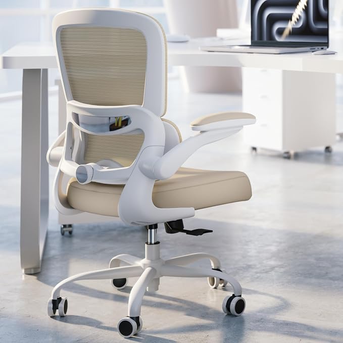 TRALT Office Chair Ergonomic Desk Chair - Gaming Chair with Lumbar Support | 330 LBS Home Office Desk Chairs with Headrest, Reading Chair with Flip-up Armrests, Comfortable Computer Chairs (1, Greige) by TRALT