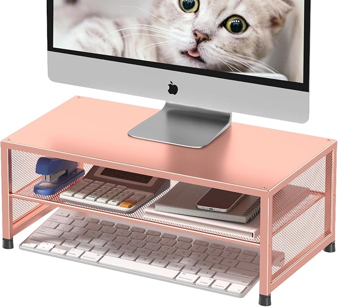 ECOLOVI 2-Tier Computer Monitor Stand Riser, Printer & Laptop Stand, Office Desk Accessories, Workspace Desk Organizer for Home Office Supplies, Rose - Image 8