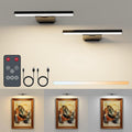 Kitloo Picture Lights for Wall, 6000mAh Rechargeable Battery Powered, Remote Control Wall Sconces with 3 Colors & Dimmable, LED Art Lights for Paintings, Gallery, Dartboard by IndoorLight