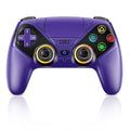 Wireless Controller for PS5/PlayStation 5 & PC, Bluetooth Gamepad with RGB Lighting, Turbo, Programmable Buttons, 6-Axis Motion Sensor, 3.5mm Audio Jack, 1000mAh Battery by Dinosoo