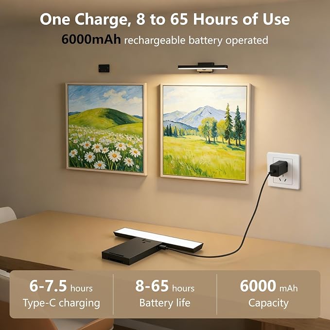 Kitloo Picture Lights for Wall, 6000mAh Rechargeable Battery Powered, Remote Control Wall Sconces with 3 Colors & Dimmable, LED Art Lights for Paintings, Gallery, Dartboard - Image 4