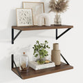 Axeman 20 Inch Floating Shelves, 10 Inch Deep Walnut Wall Shelves Set of 2 by Axeman