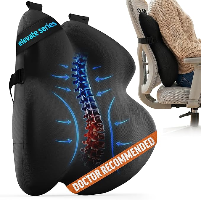 Everlasting Comfort Lumbar Support Pillow for Office Chair - Improves Posture, Promotes Back Pain Relief - Superior Back Support for Gaming and Desk Chairs - Lumbar Pillow for Car, Couch by EverlastingComfort